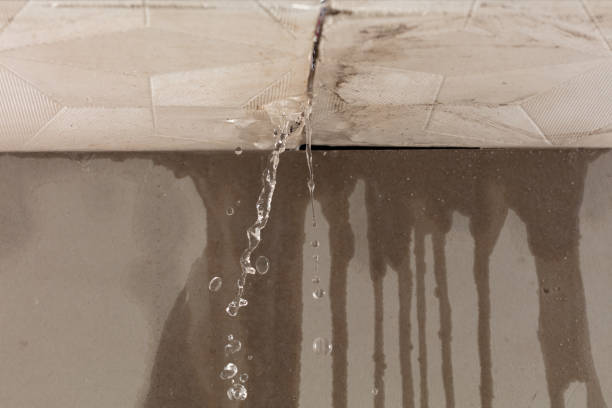 Professional Water Extraction technician working in Lake Isabella, MI